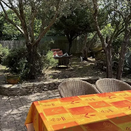 Maison Chaleureuse Et Familiale Avec Jardin Au Calme A Avignon Nyaraló *